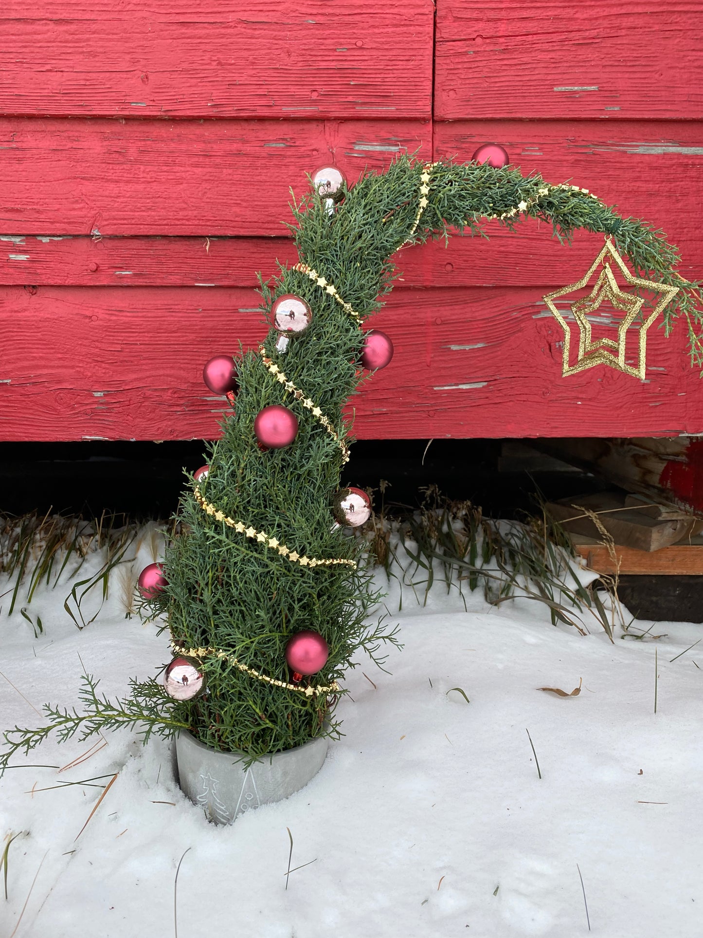 Whoville Christmas Tree Workshop