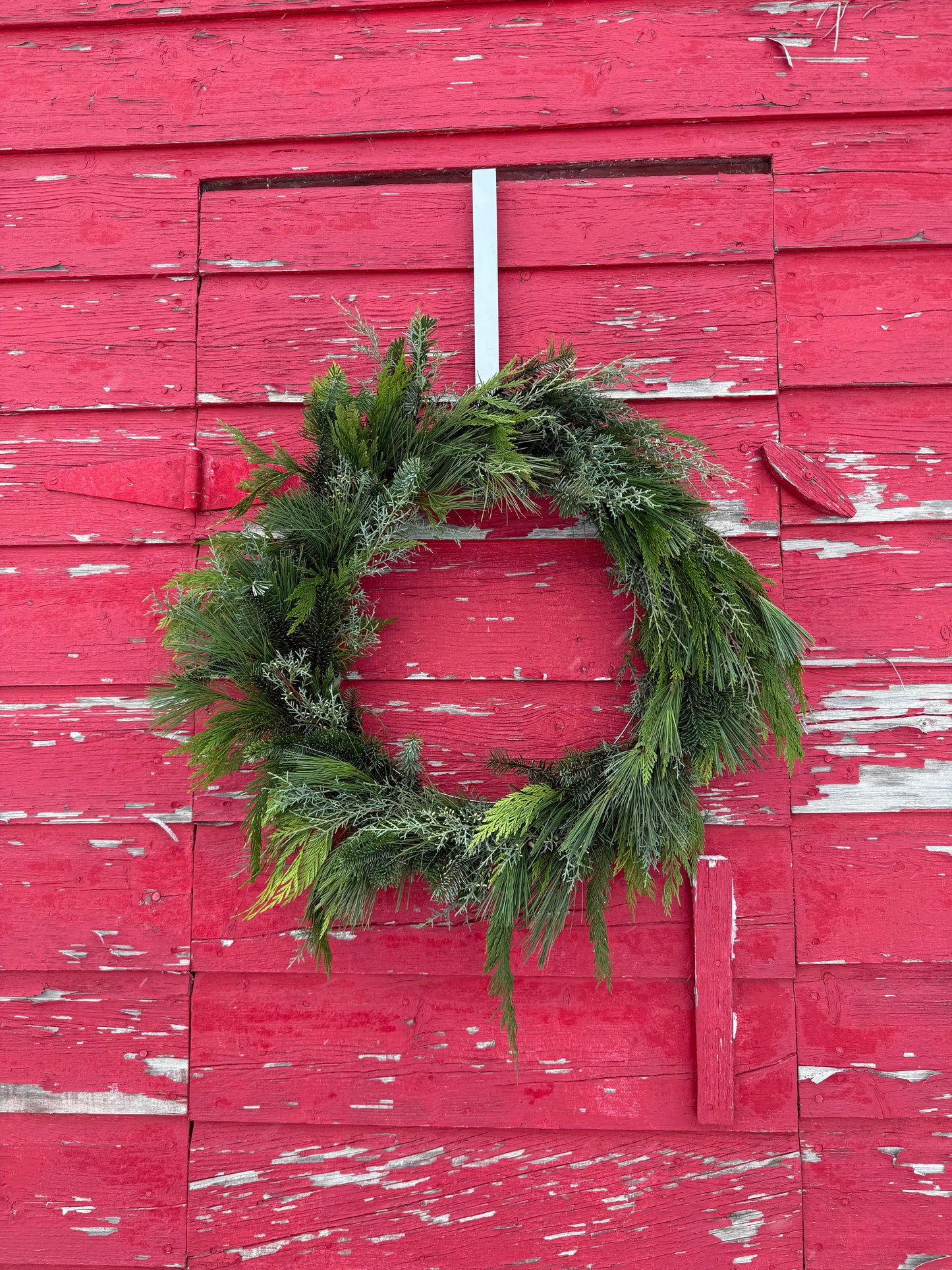 Fresh Greenery Wreath - 24 Inch