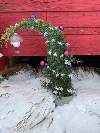 Whoville Christmas Tree Workshop