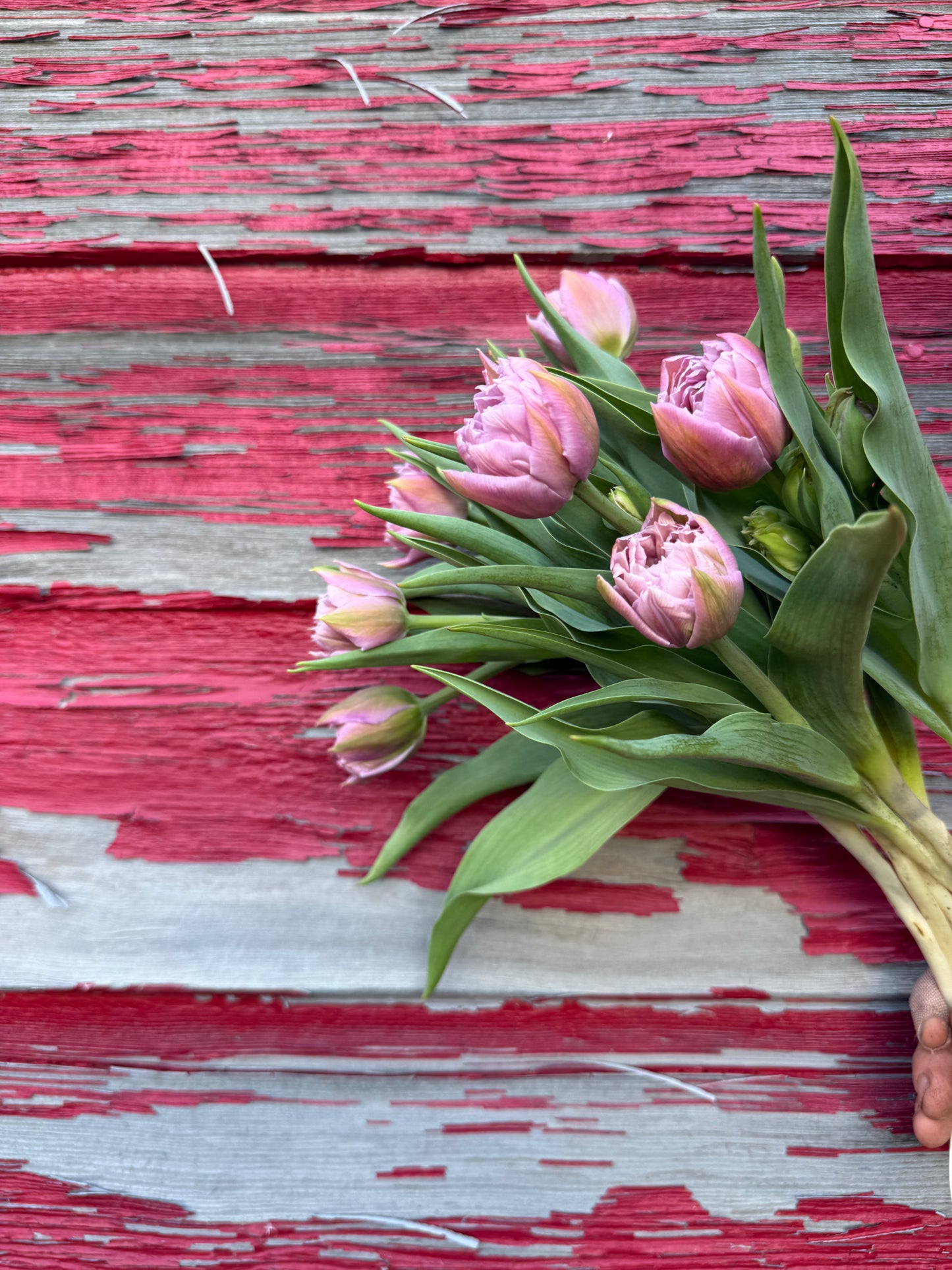 Whats Blooming Bouquet
