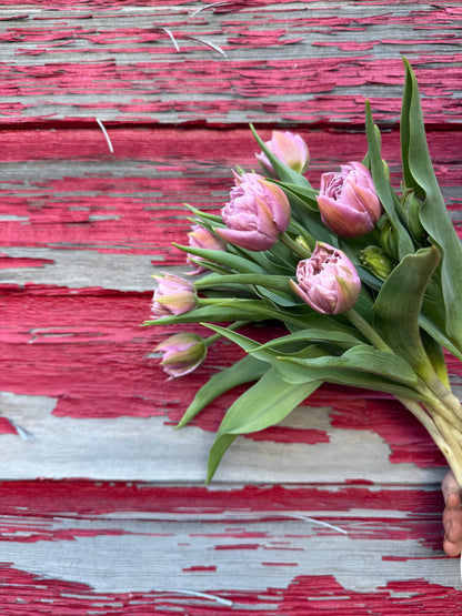Whats Blooming Bouquet